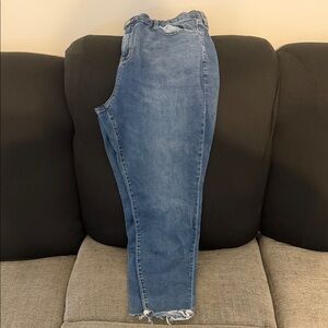 American Eagle Outfitters Blue Skinny Jeans